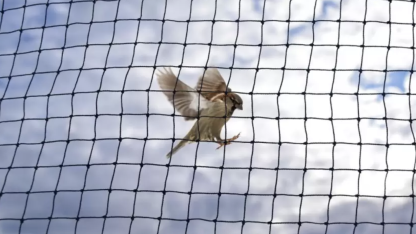 Screenshot 2023-04-21 at 8.10.20 AM Screenshot 2023-04-21 at 8.10.20 AM